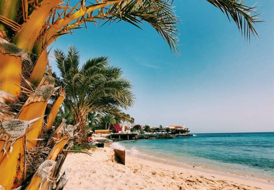 Cape Verde Beach With Tropical Trees Wallpaper