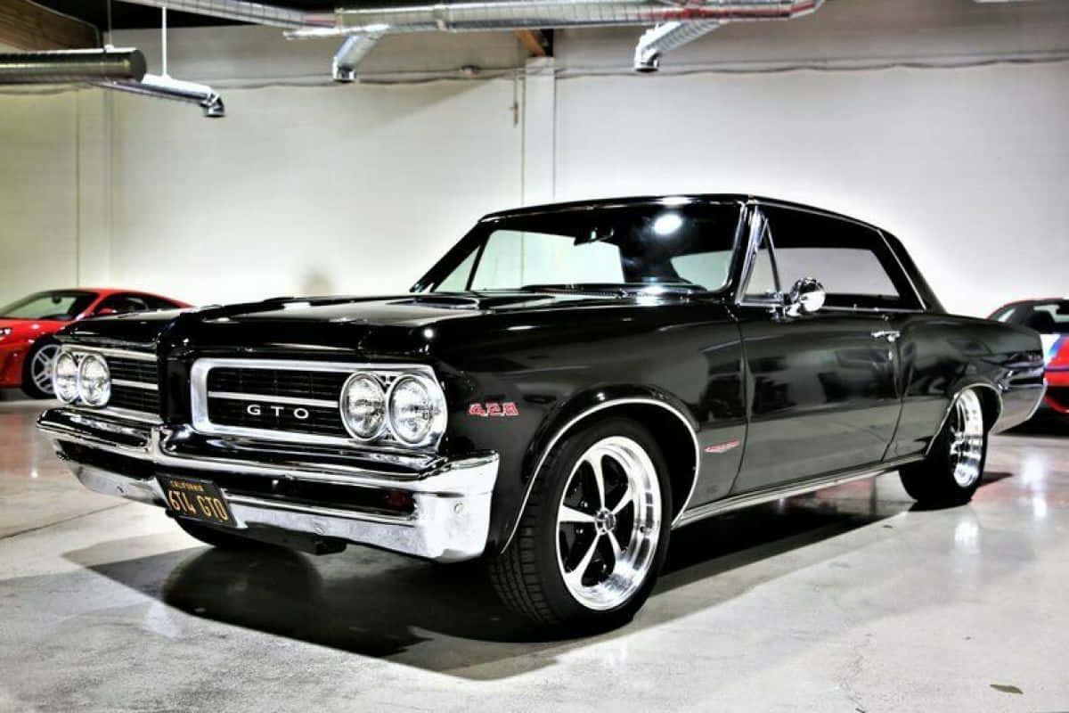 Caption: A Stellar Ride - Pontiac Gto Wallpaper