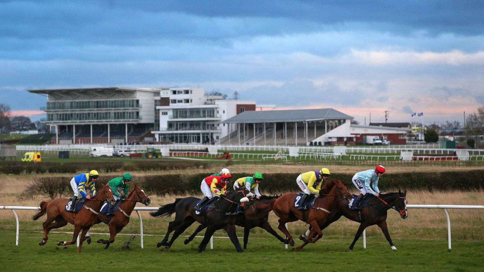 Caption: Exciting Horse Racing In A Vast Field Wallpaper