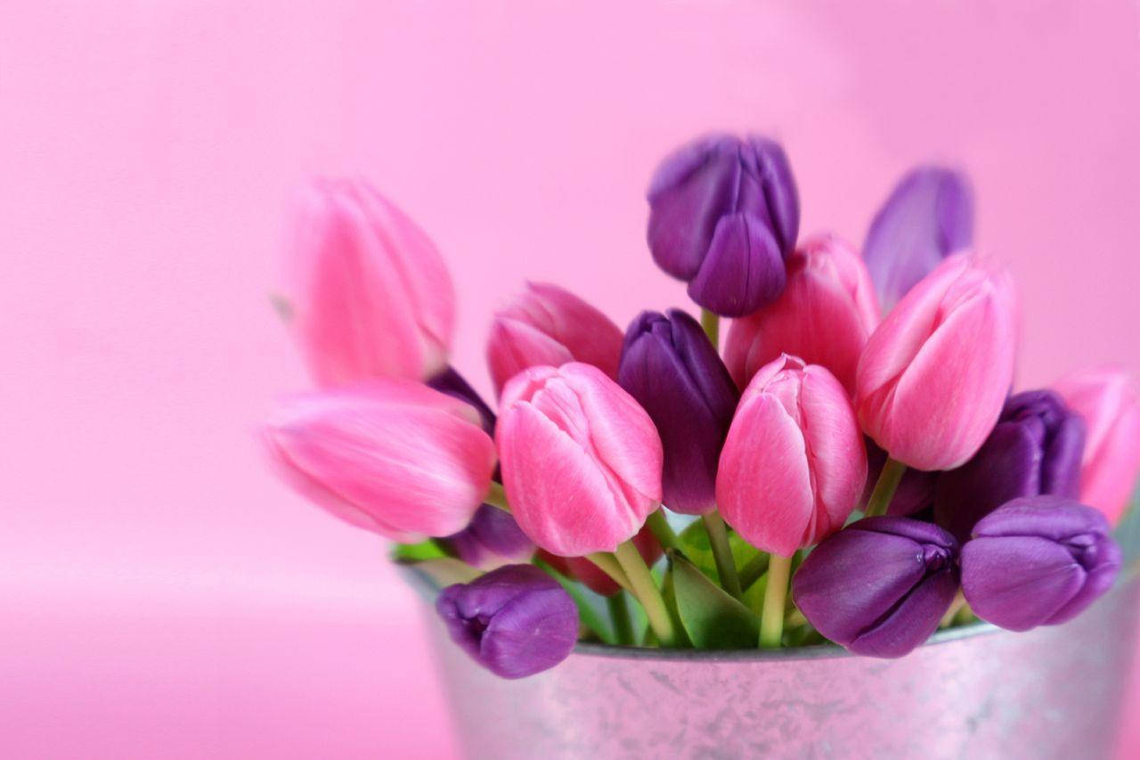 Caption: Exquisite Beauty Of Pink Blooms Wallpaper