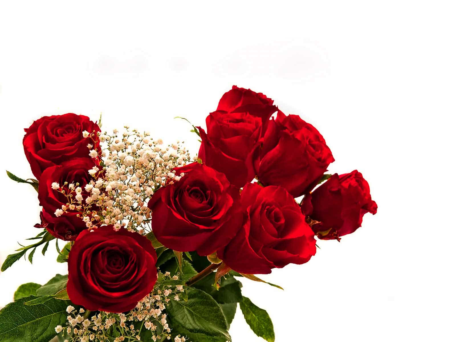 Caption: Exquisite Bouquet Of Red Roses Wallpaper