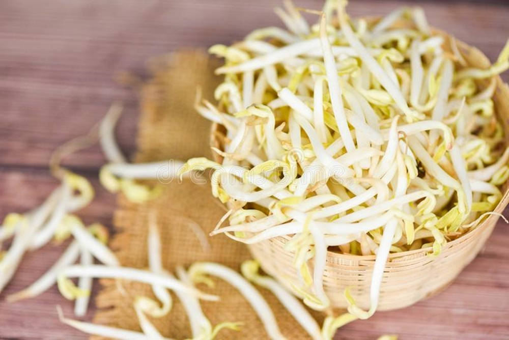 Caption: Fresh Mung Bean Sprouts In A Rattan Basket Wallpaper