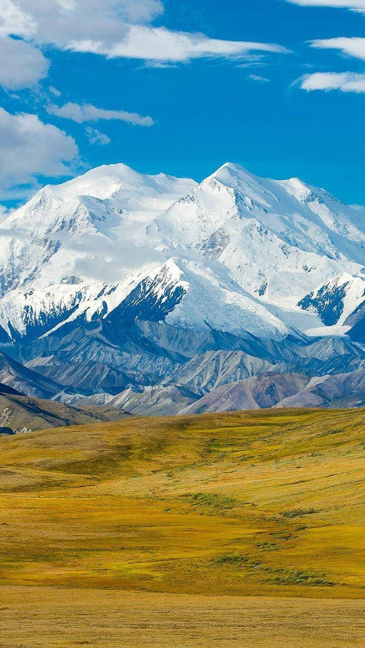 Caption: Majestic View Of Denali Amidst The Wilderness Wallpaper