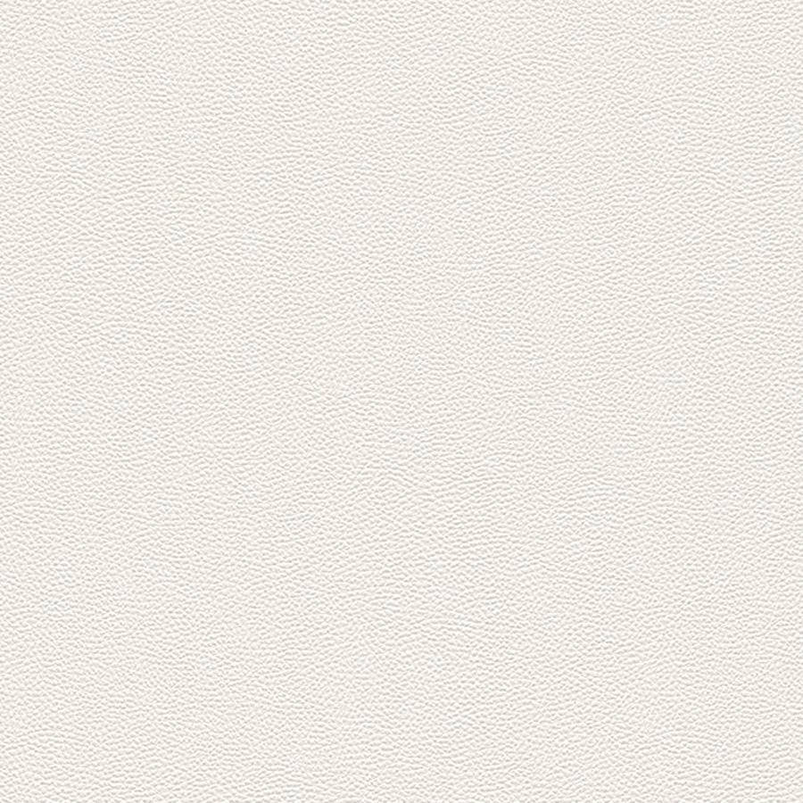 Caption: Plain Beige Elegance Wallpaper