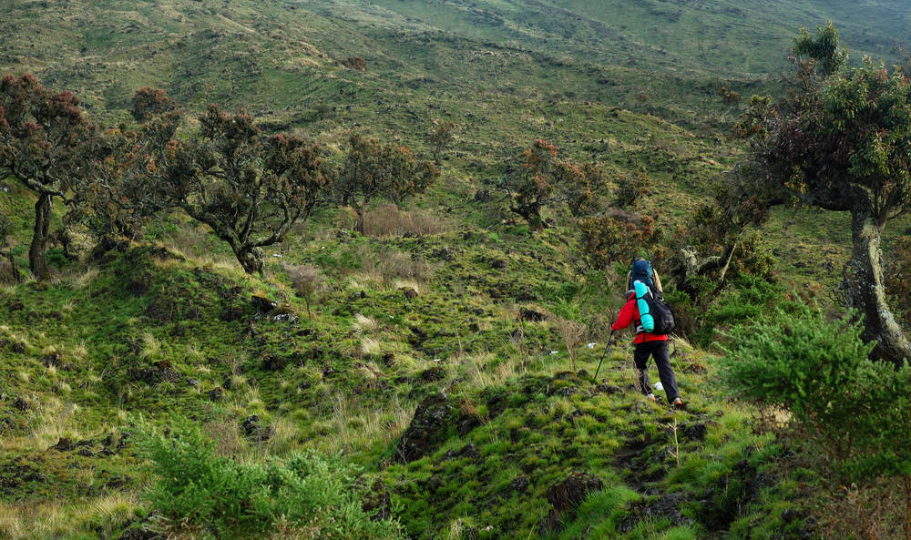 Caption: Stunning Landscape Of Cameroon Highlands Wallpaper