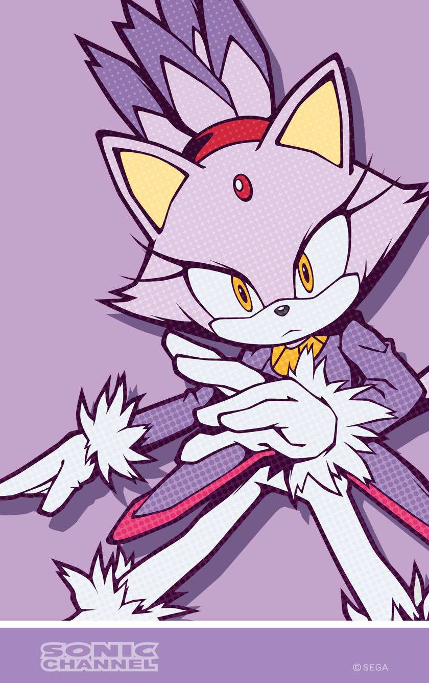Captivating Image Of Blaze The Cat In Action Wallpaper