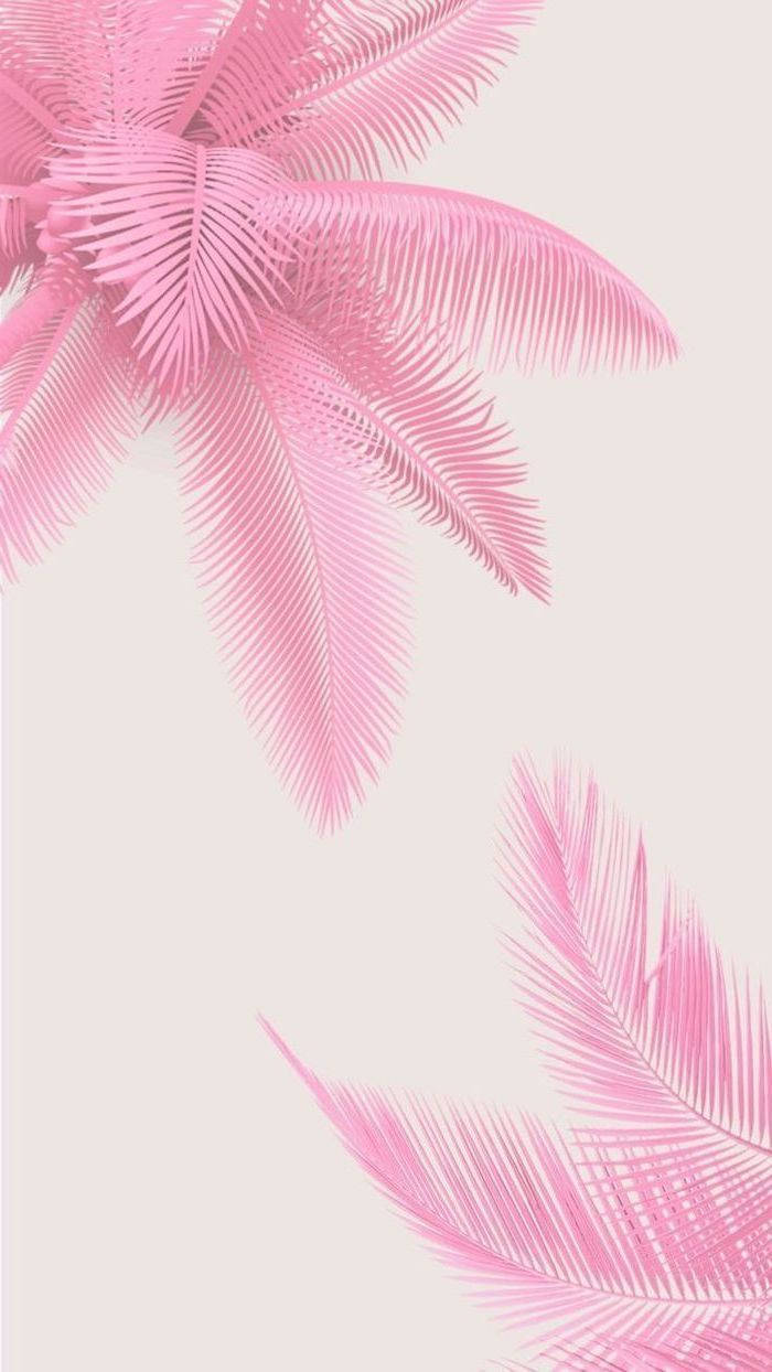 Captivating Wallpaper For Girl's Smartphone Wallpaper