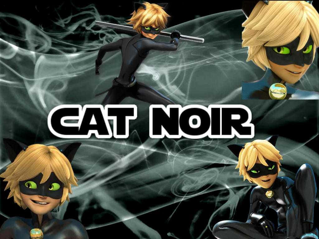 Cat Noir Wallpapers - Cat Noir Wallpapers Wallpaper