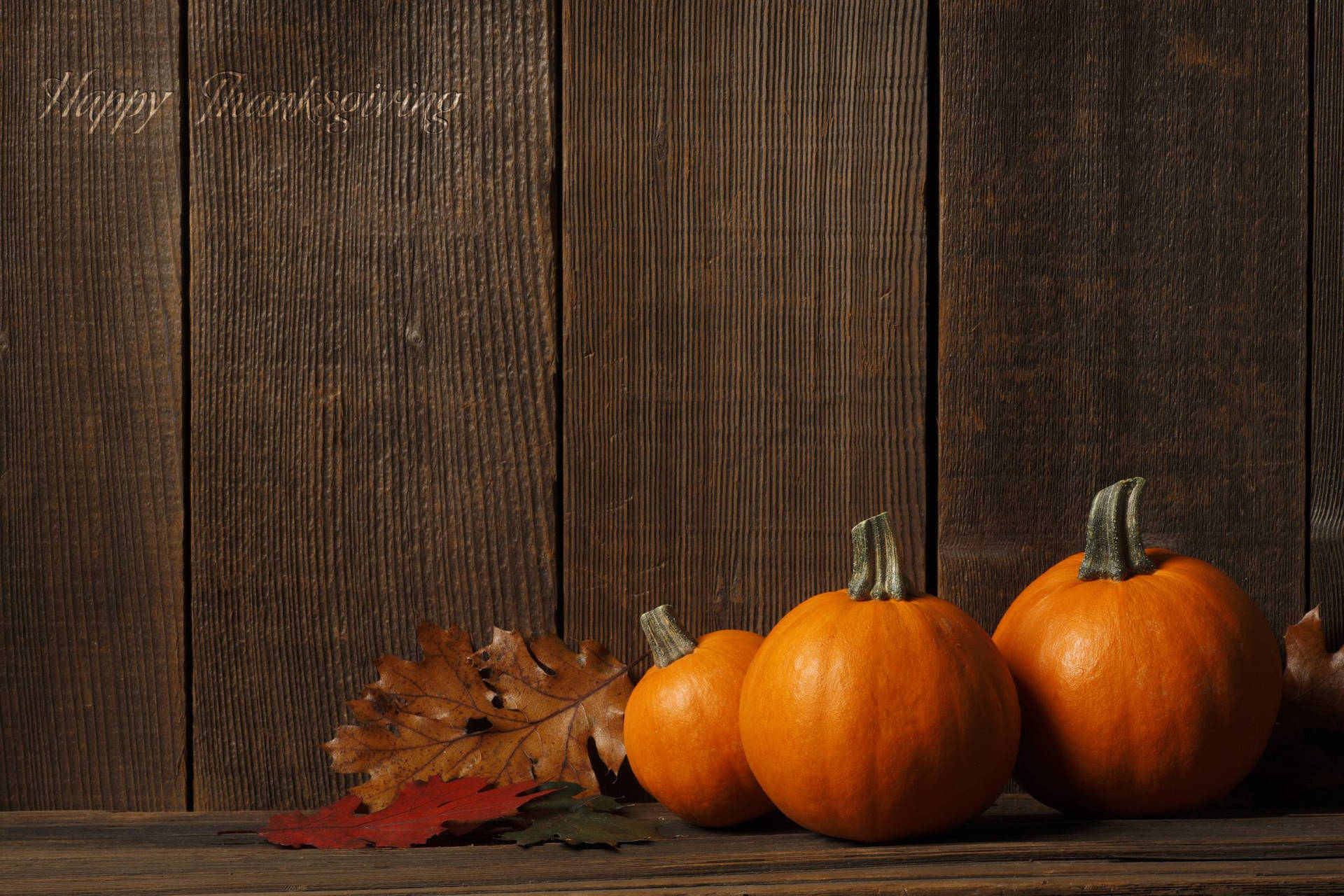 Celebrate Thanksgiving With Pumpkins Wallpaper