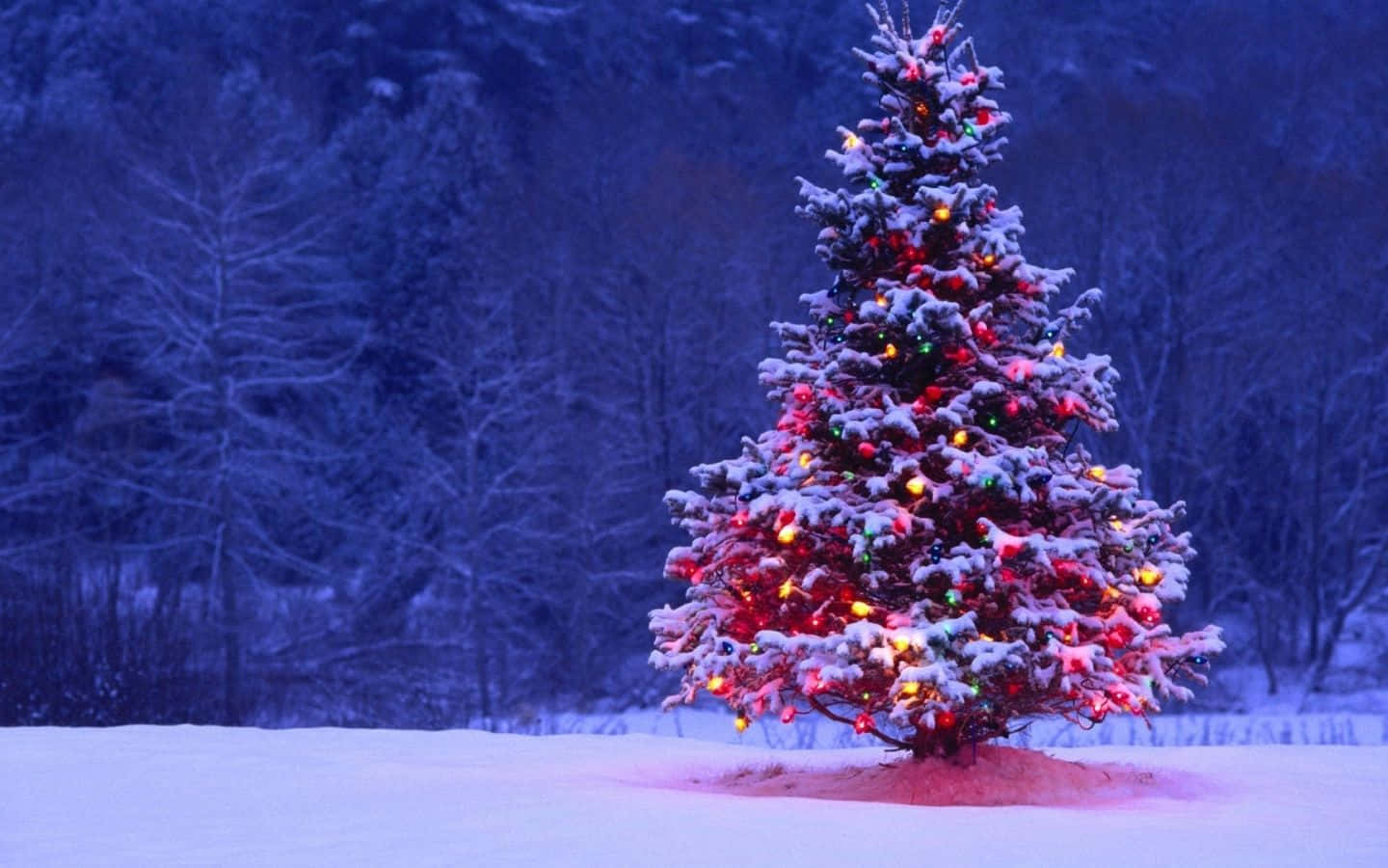 Celebrate The Magic Of Christmas With A Cool Christmas! Wallpaper