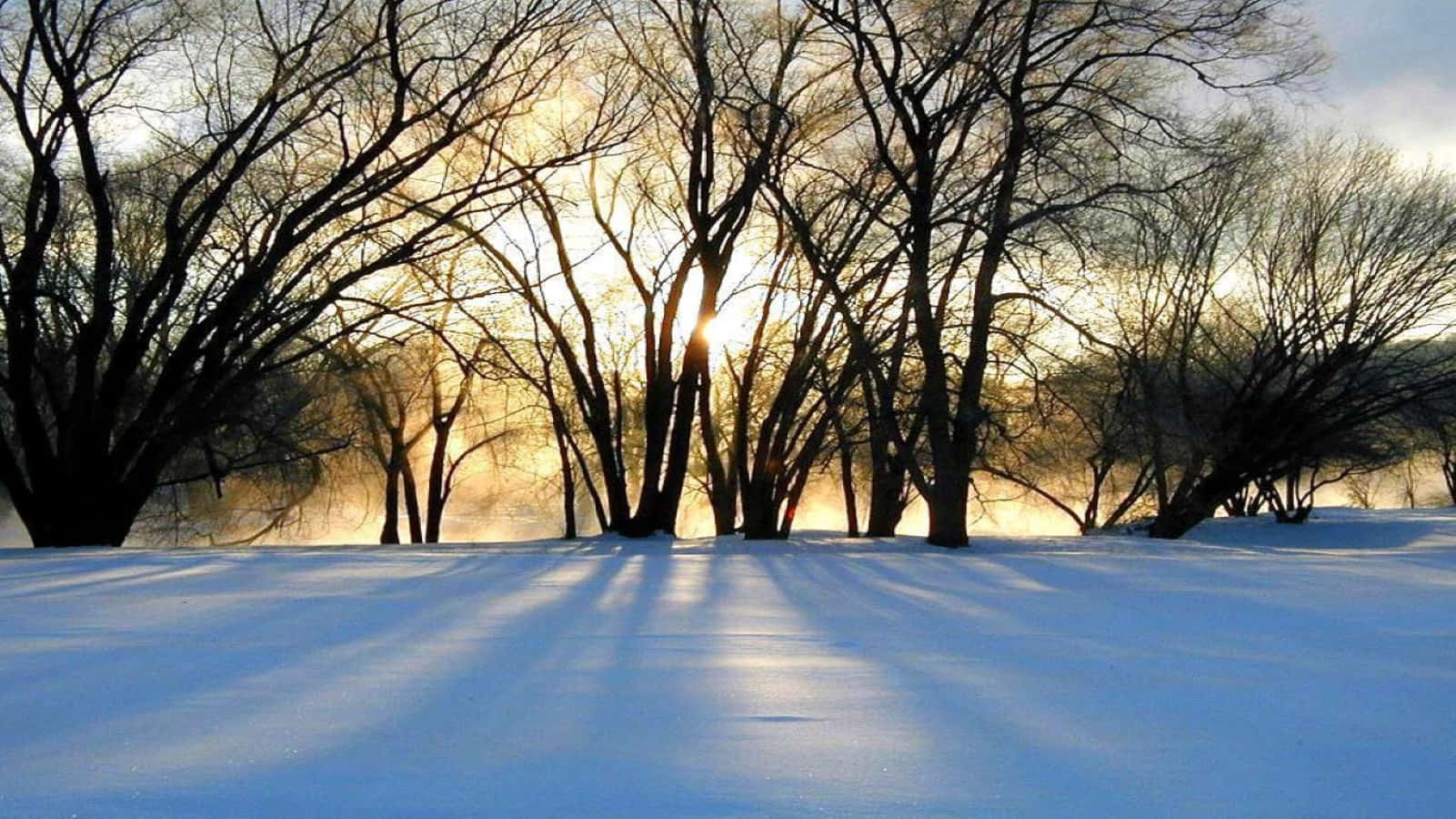 Celebrate The Winter Solstice With A Scenic Snowy Landscape Wallpaper