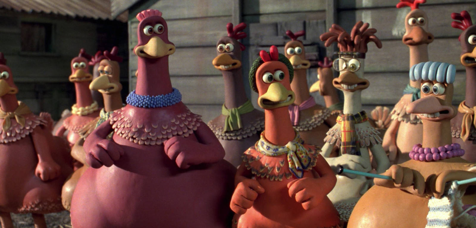 Chickens Talking At The Chicken Run Scene Wallpaper