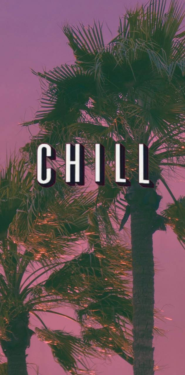 Chill Palm Trees Aesthetic Wallpaper