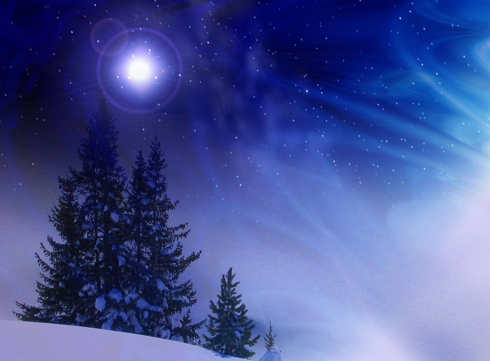 Christmas Tree Blue Night Blizzard Wallpaper