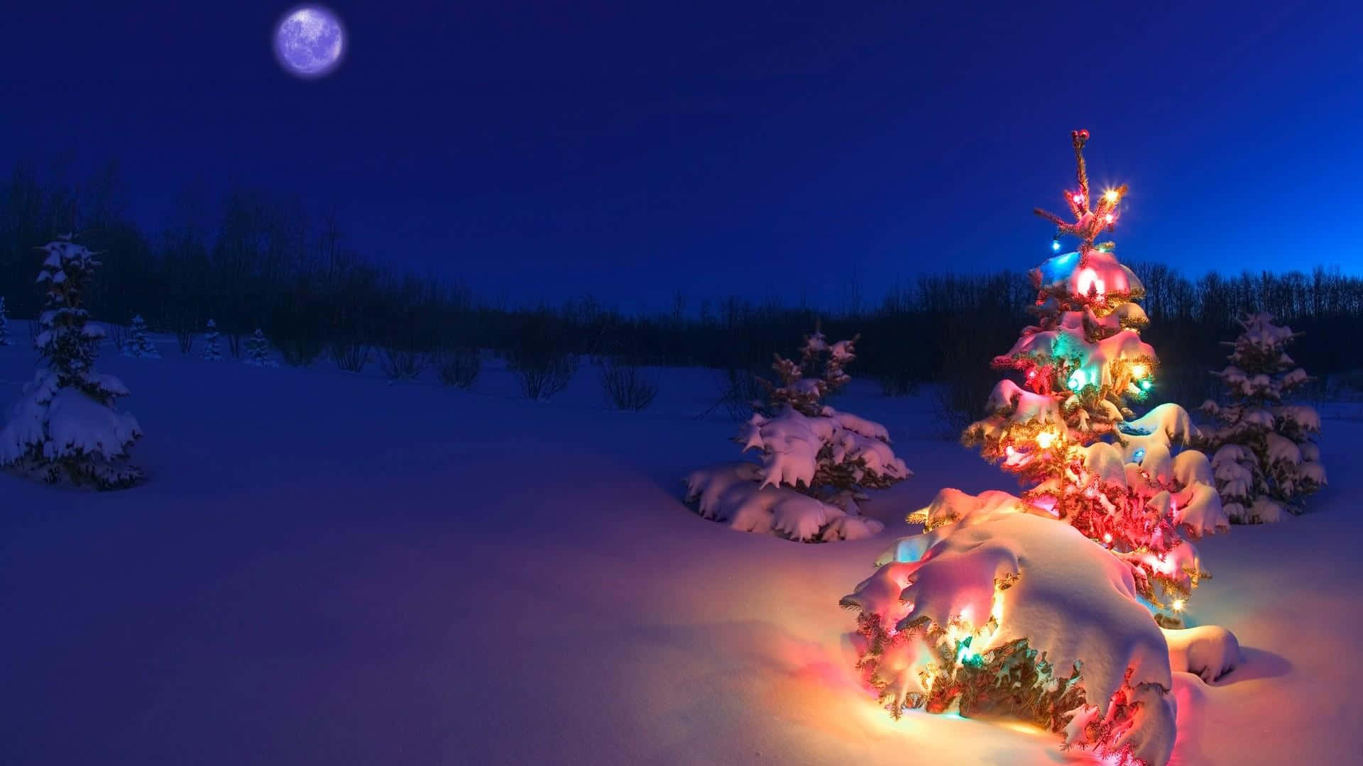 Christmas Tree In The Snow With Lights Wallpaper