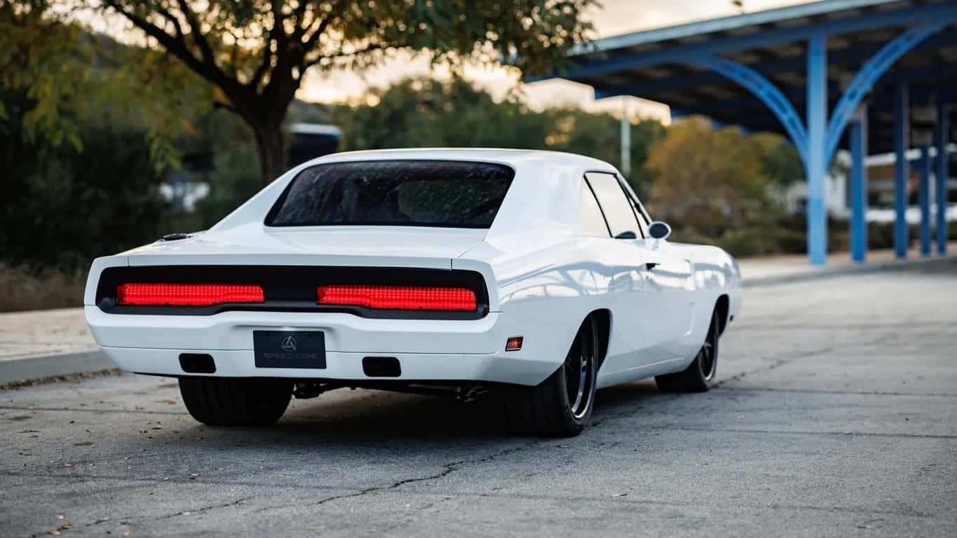 Classic White Muscle Car Rear View Wallpaper