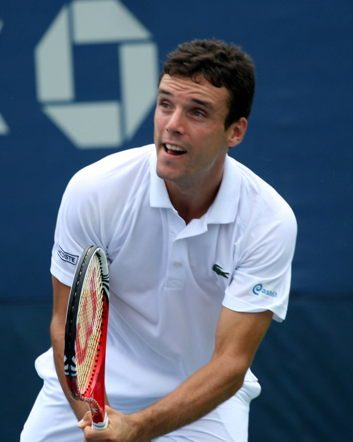 Cleanshaven Roberto Bautista Agut Wallpaper