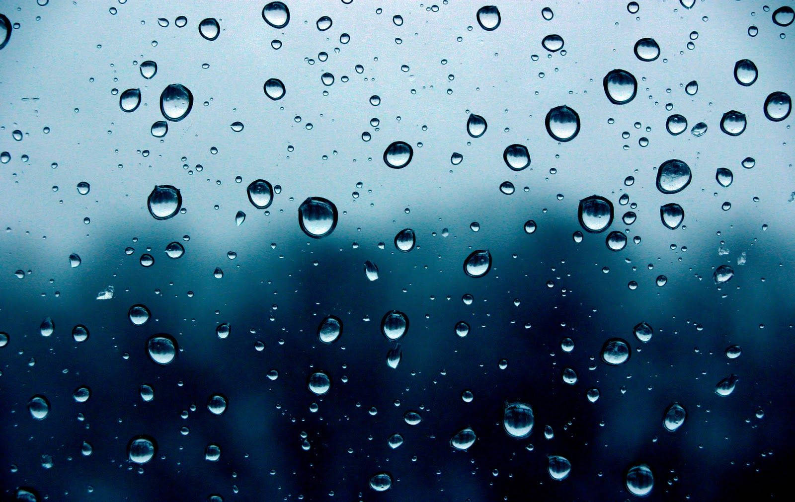 Clear Raindrops Extreme Close Up Wallpaper