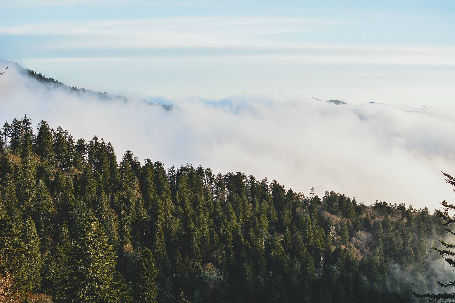 Clouds And Trees With Smoky Mountains Wallpaper