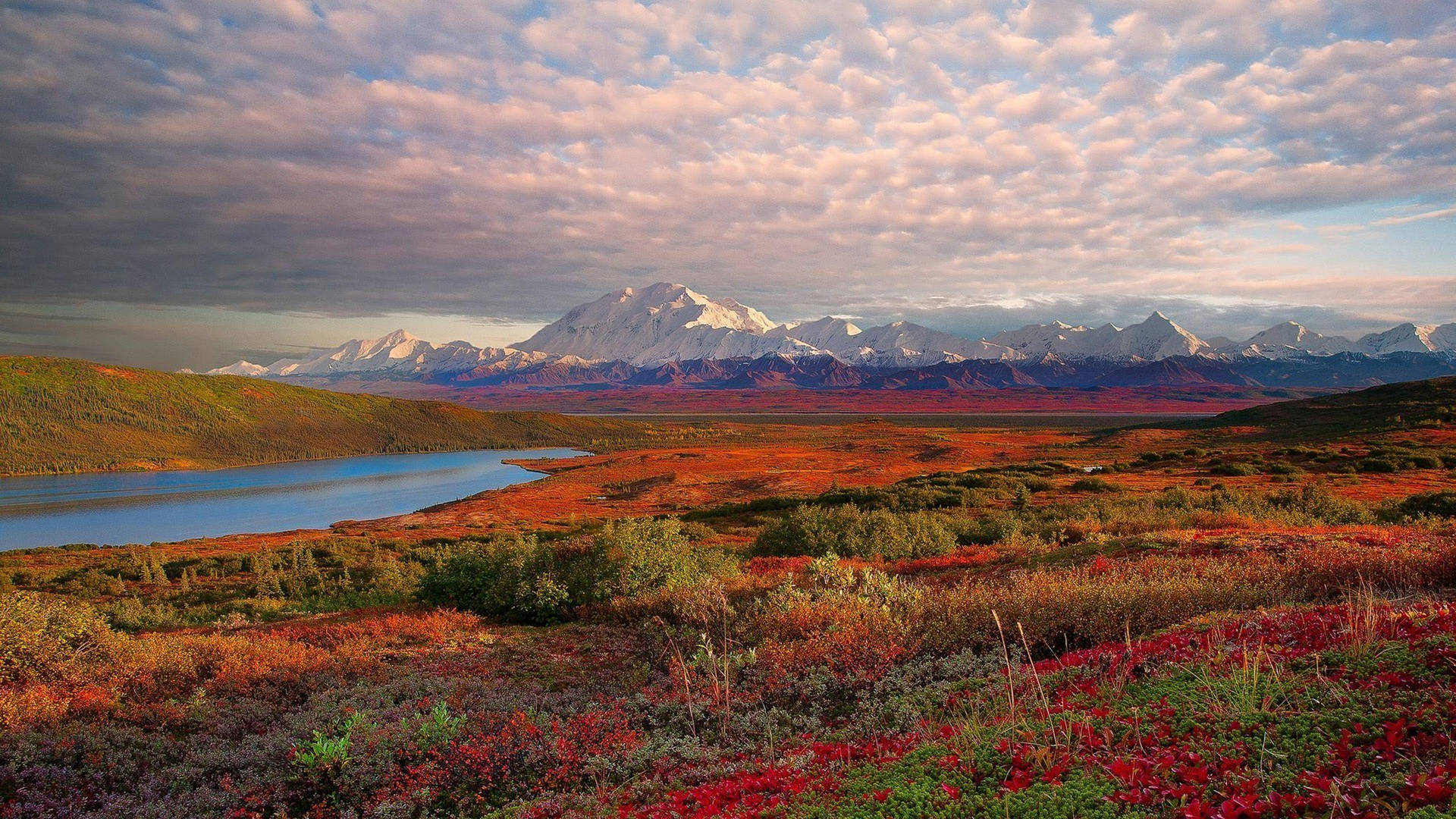 Cloudy Denali With Colorful Field Wallpaper
