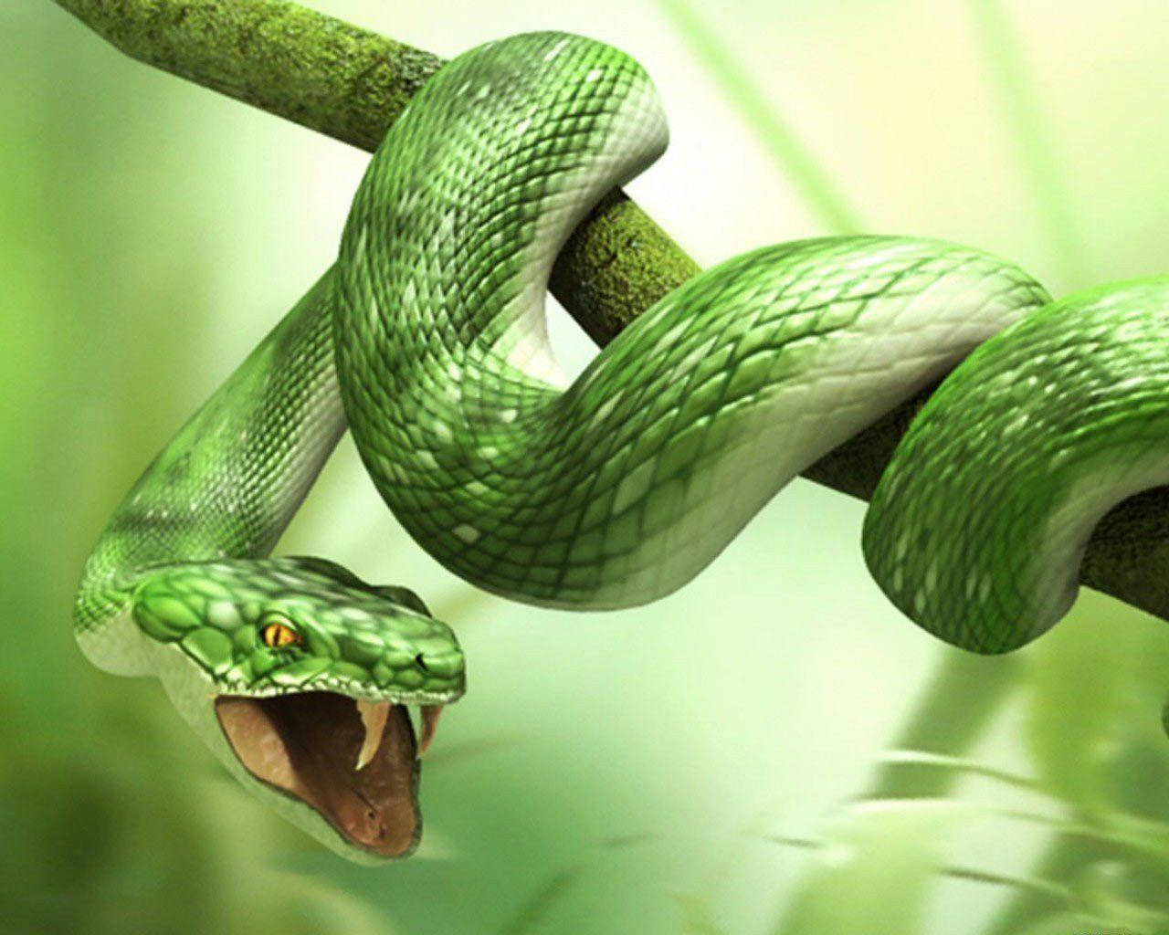 Cobra Green Aeshetic Coiled On Branch Wallpaper