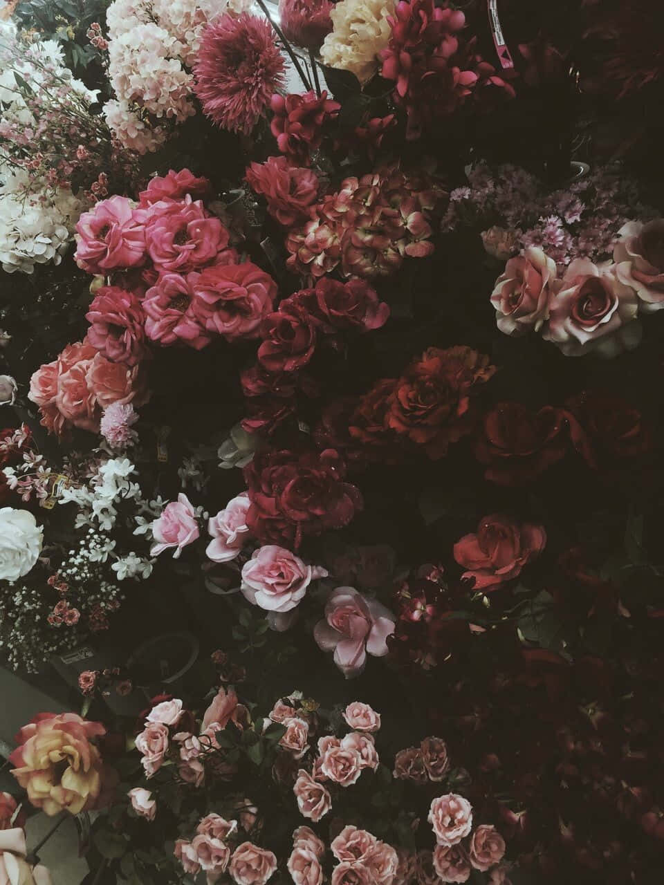 Colorful And Mysterious Dark Flower Aesthetic Wallpaper