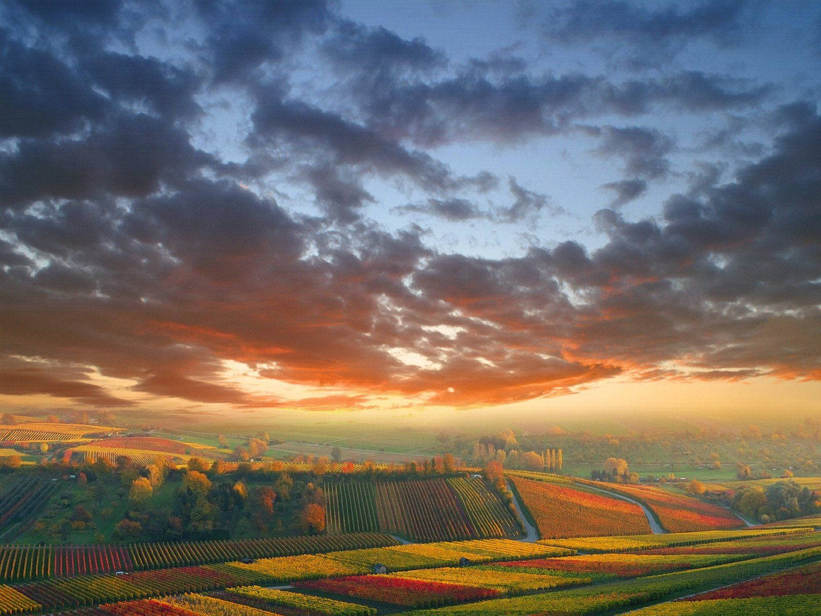 Colorful Country Fields In Autumn Wallpaper