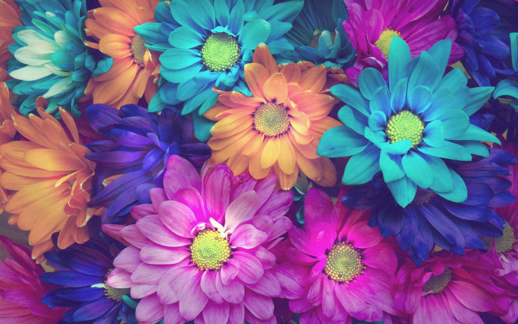 Colorful Neon Flower Wallpaper