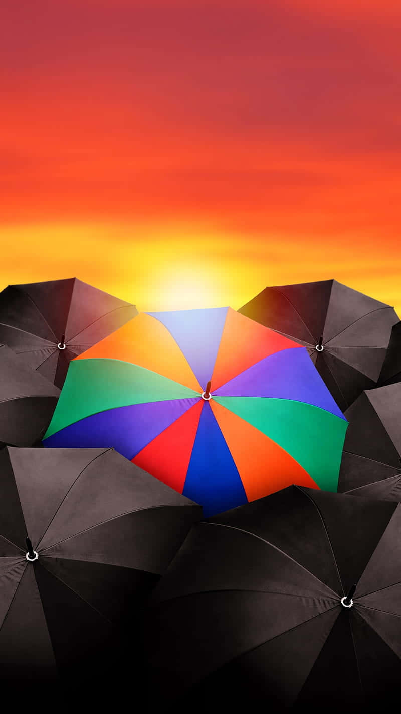 Colorful Umbrella Among Black Umbrellas Wallpaper