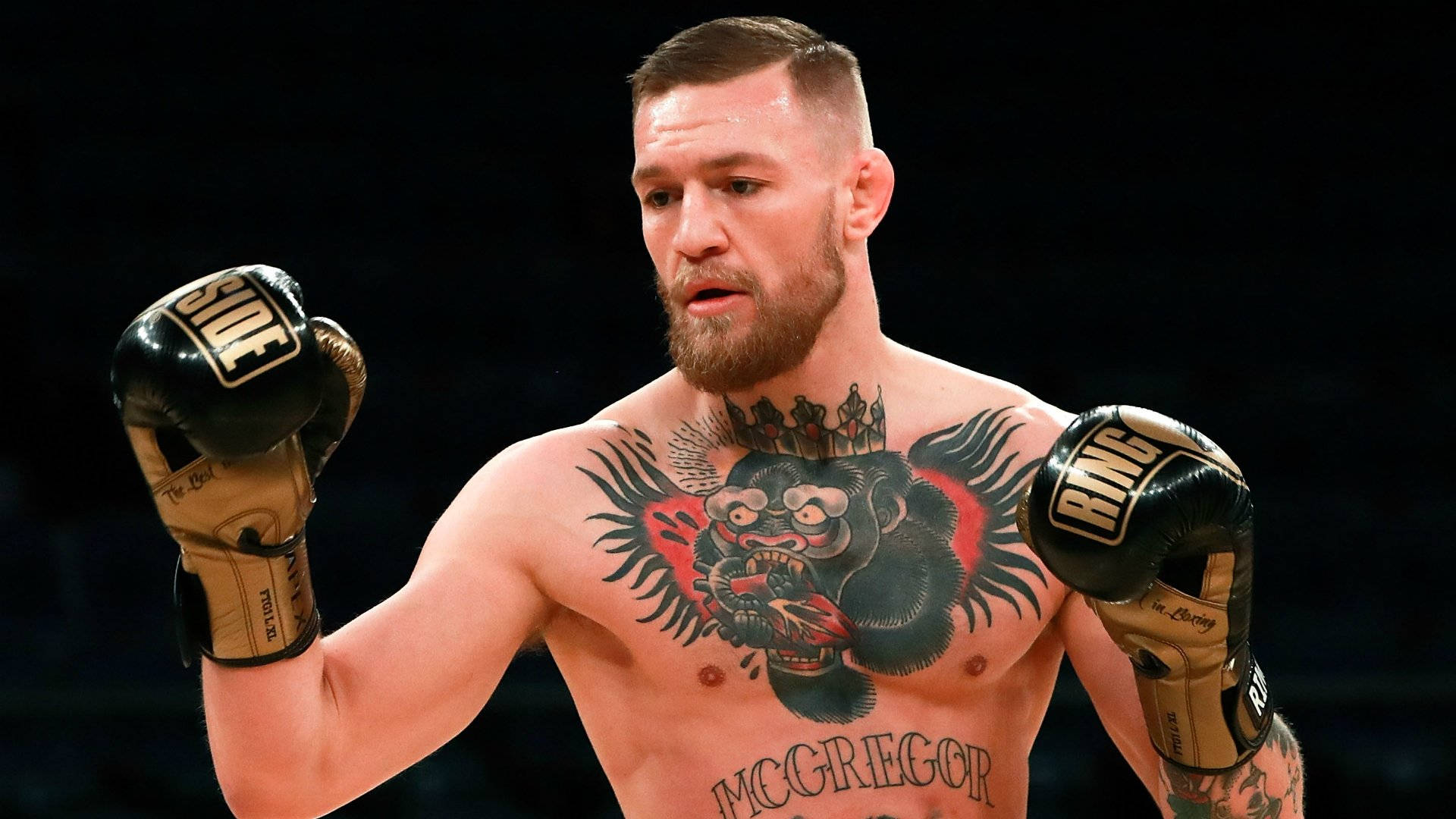 Conor Mcgregor Wearing Boxing Gloves Wallpaper WallpapersOK