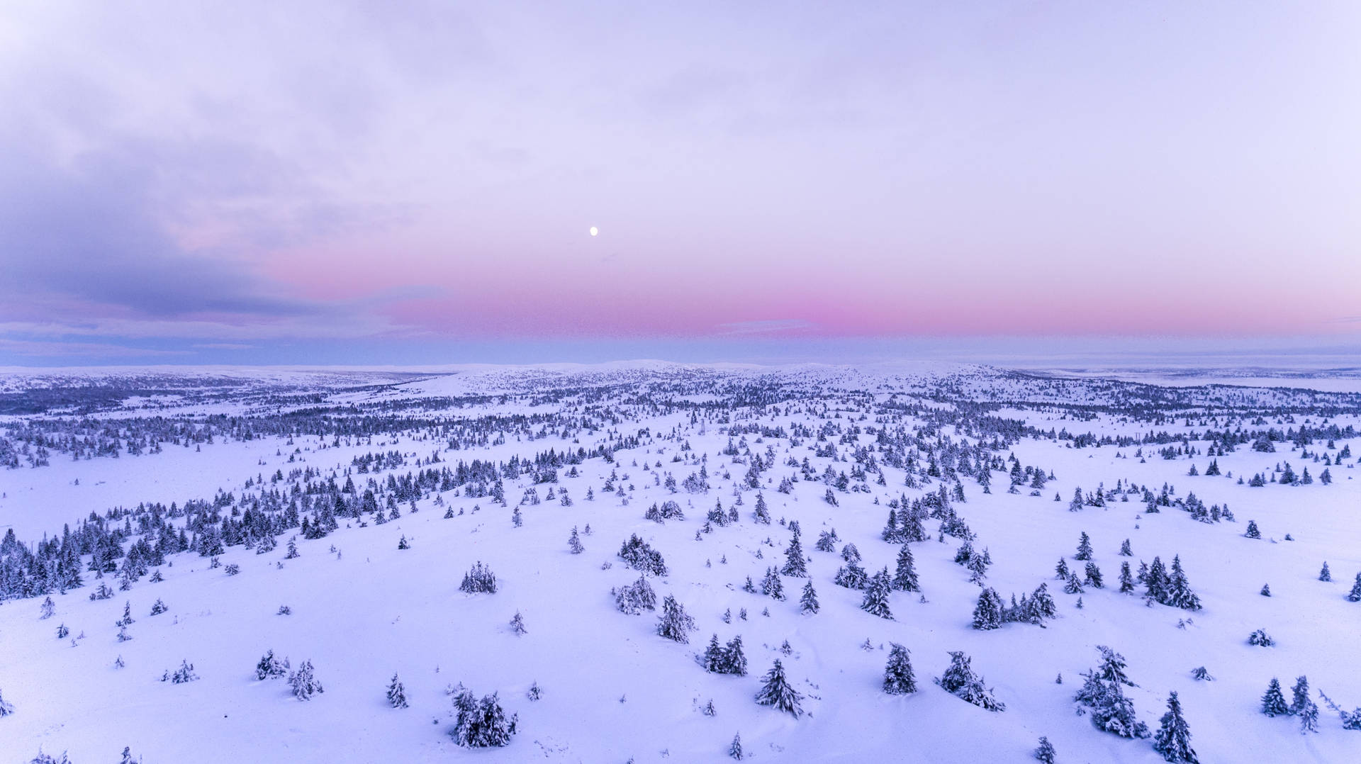 Cool Aesthetic Norway Snow Field Wallpaper