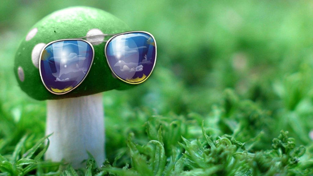 Cool Desktop Green Mushroom Wallpaper