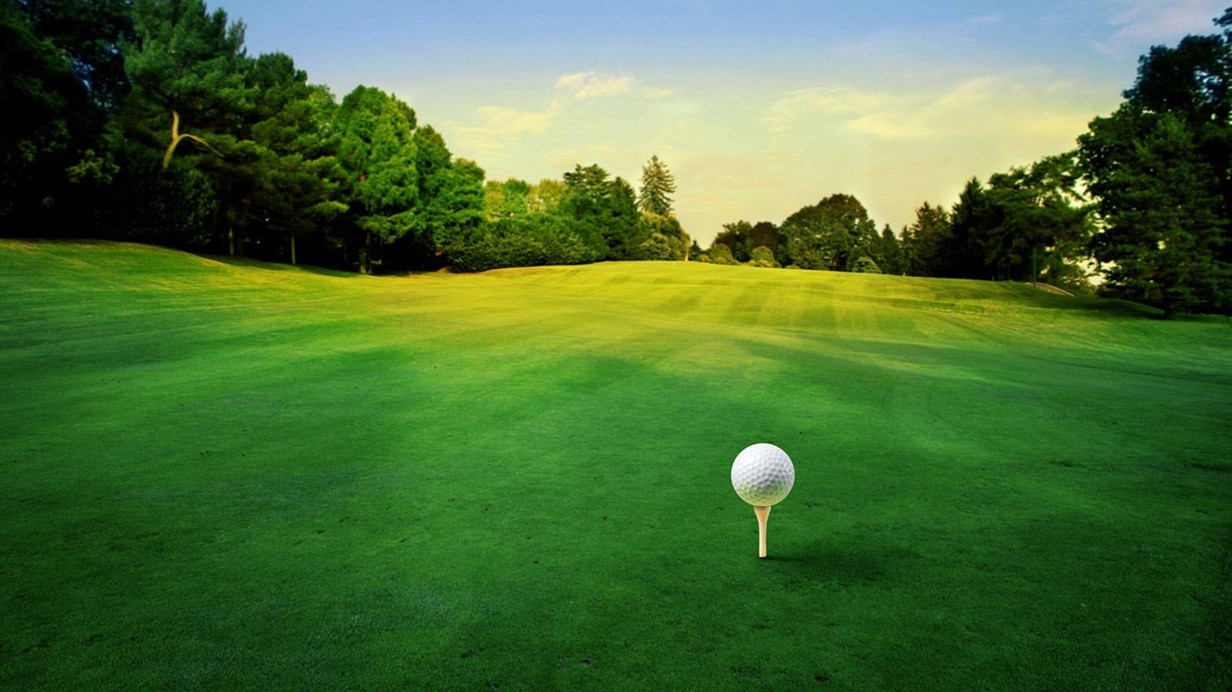 Cool Golf Green Course With Tee Wallpaper