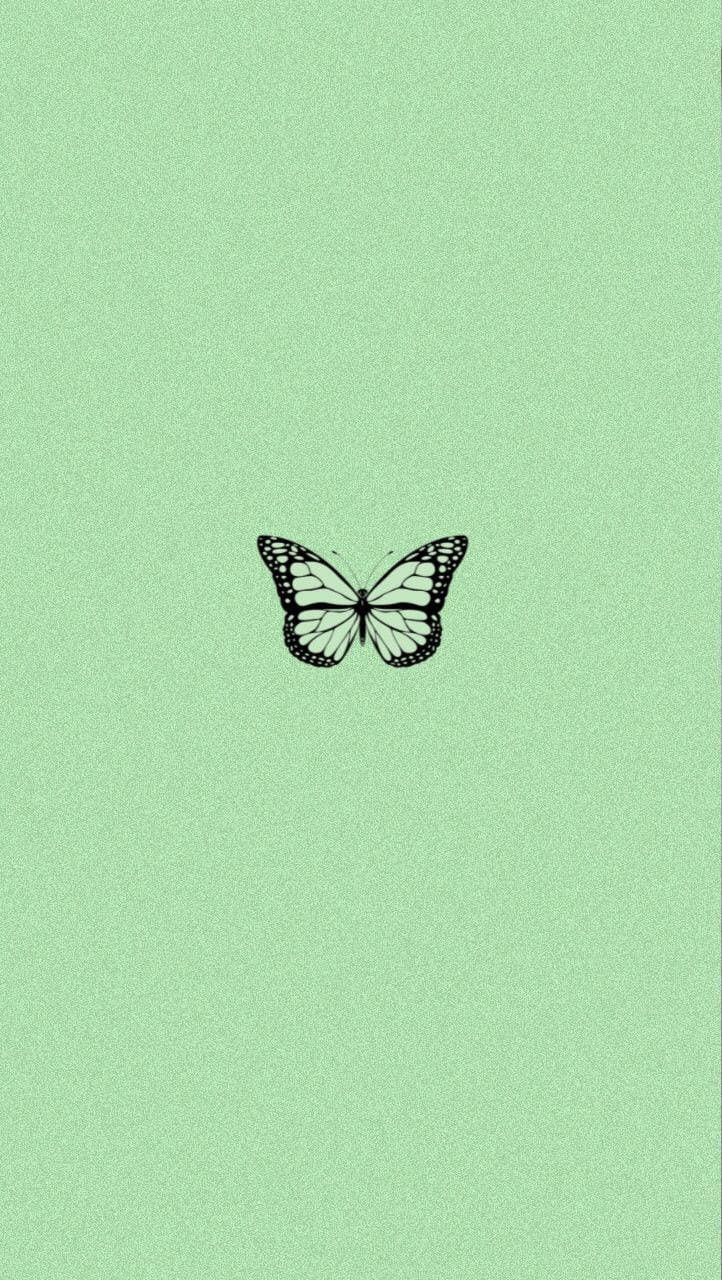 Cool Green Butterfly Wallpaper