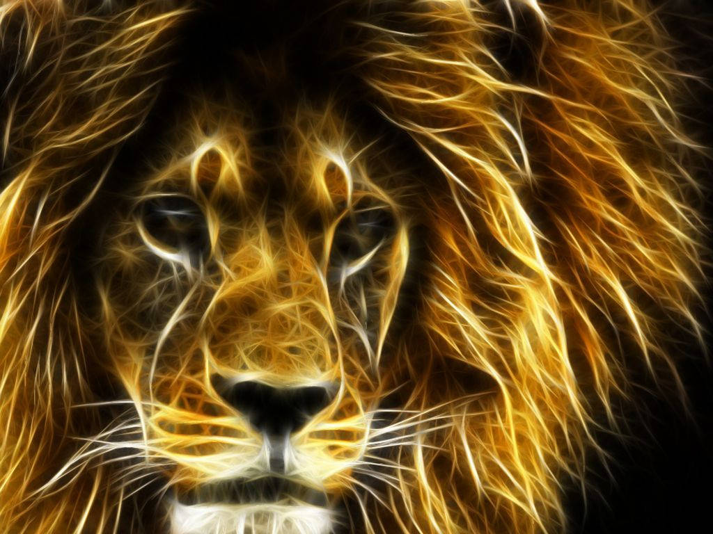 Cool Lion Golden Mane Wallpaper