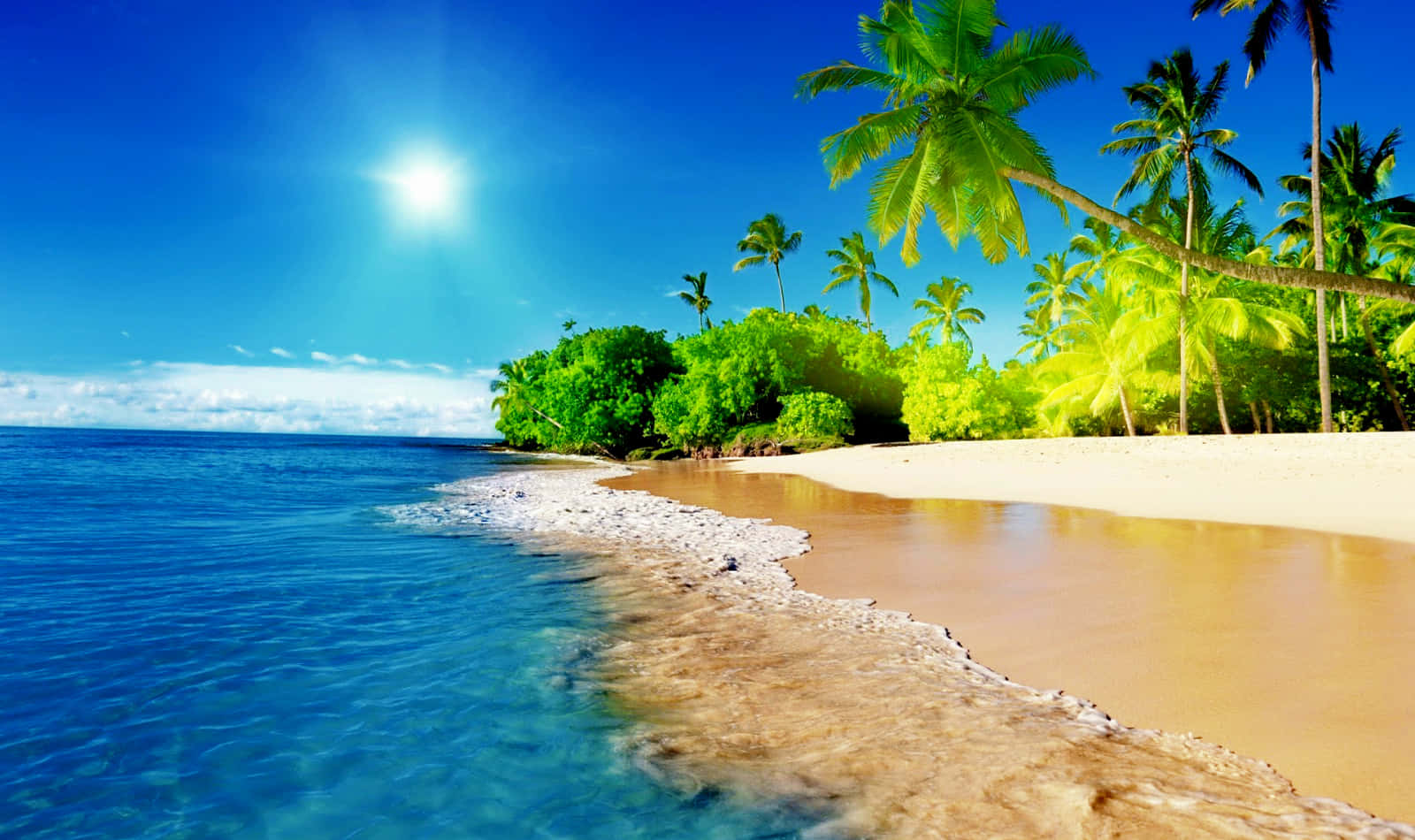 Cool Nature Beach Tropical Scene Wallpaper
