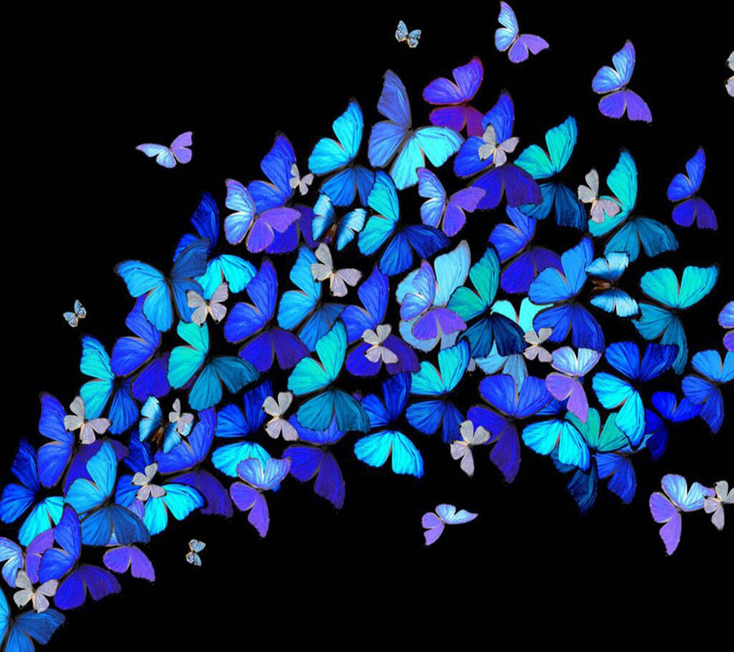 Cool Phone Butterfly Wallpaper