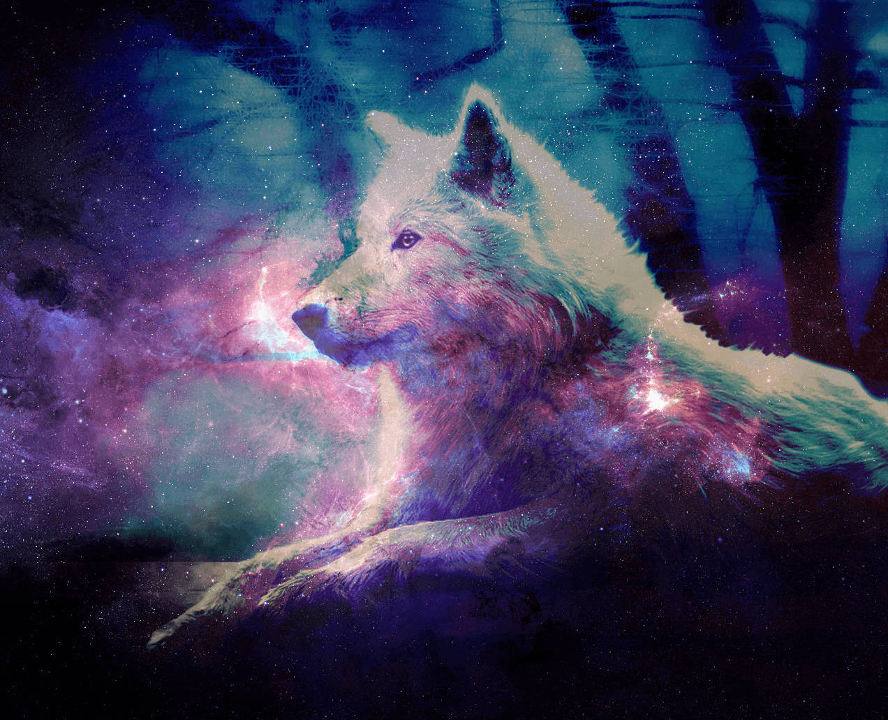 Cool Starry Galaxy Filter On Wolf Wallpaper
