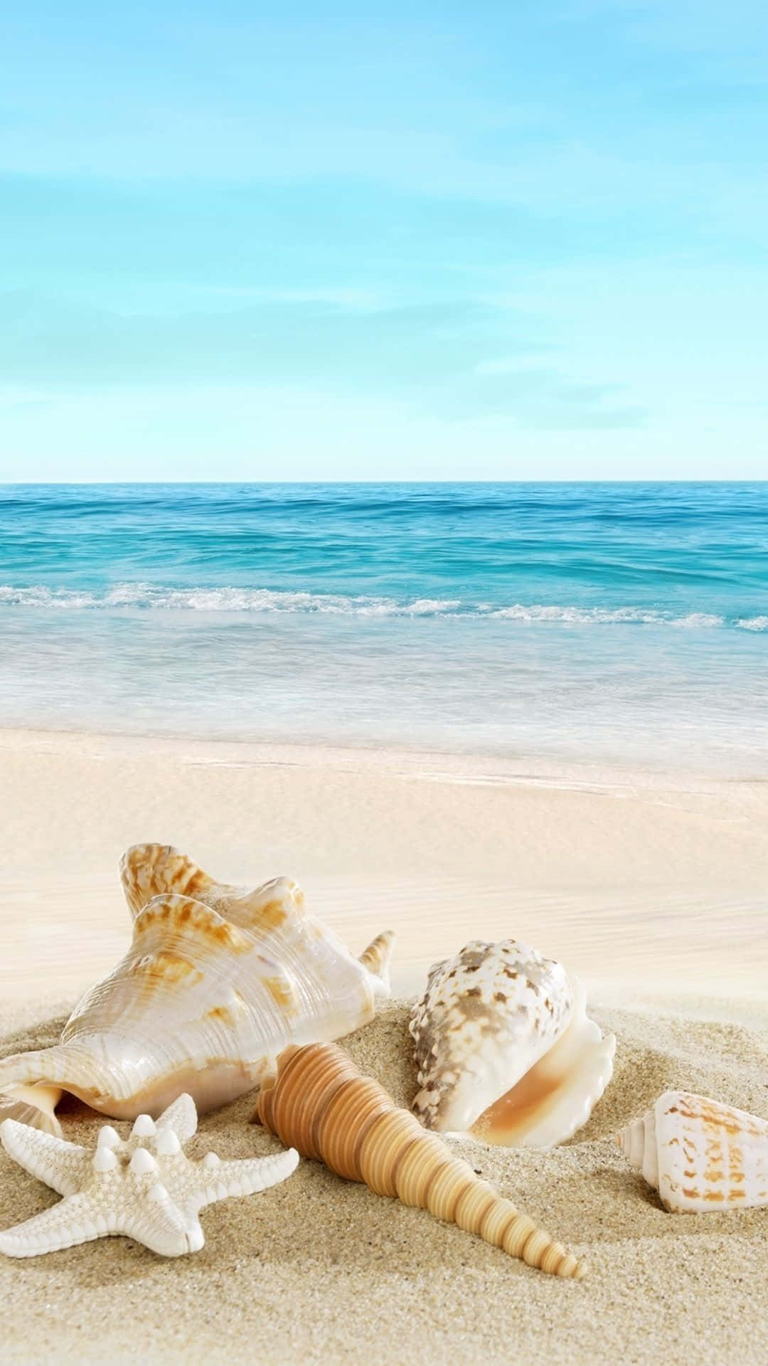 Cool Summer With Aesthetic Seashells Wallpaper