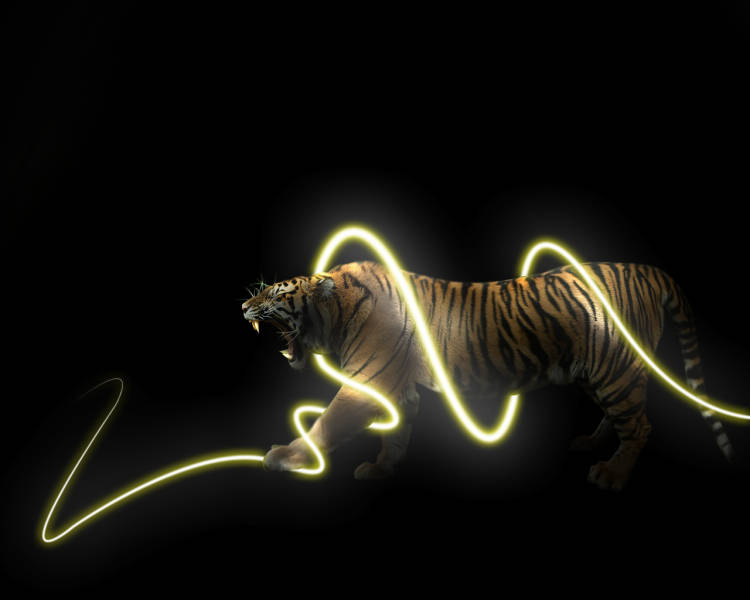 Cool Tiger Art With A Light Strobe Wallpaper