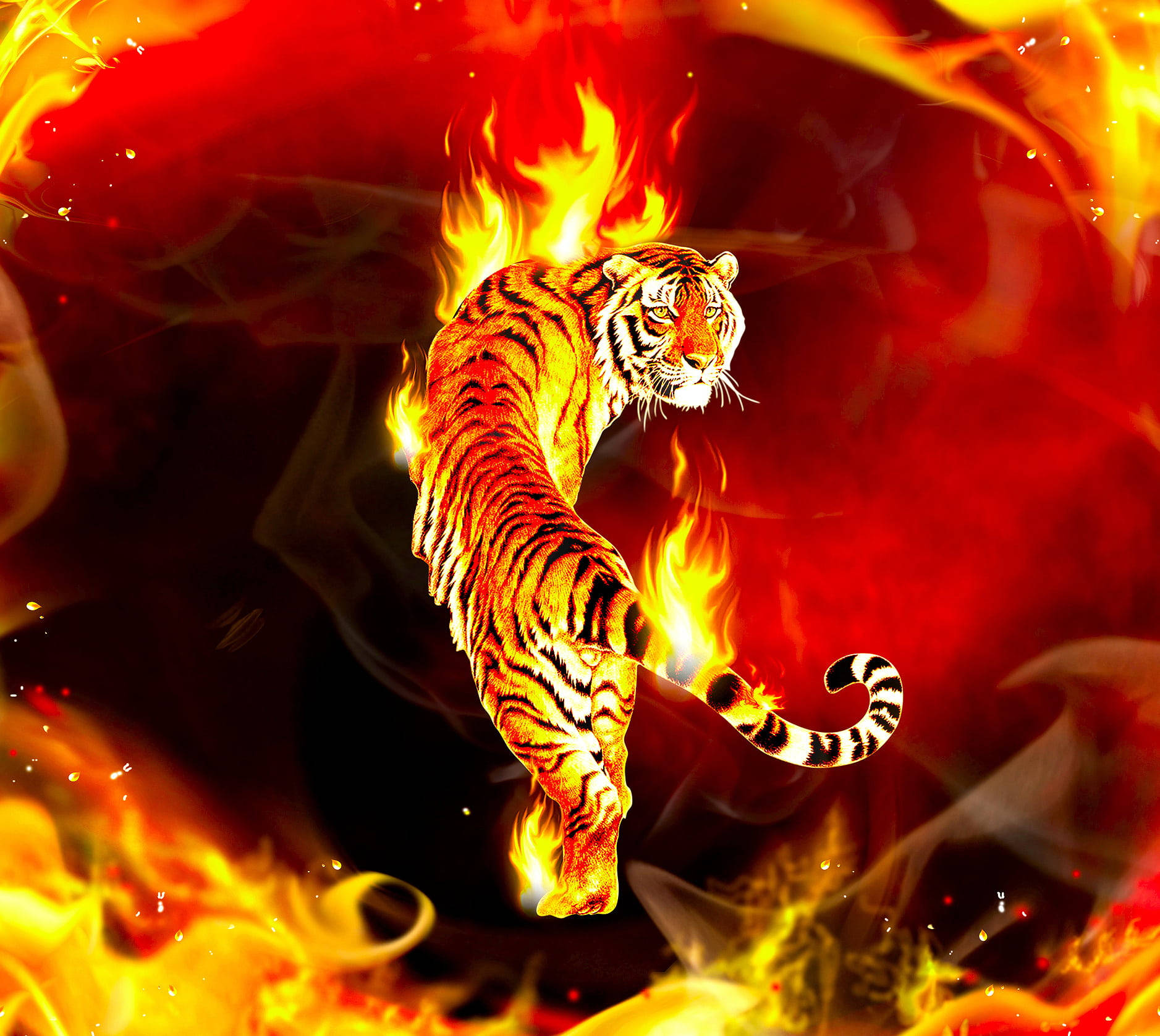 Cool Tiger On Fire Wallpaper