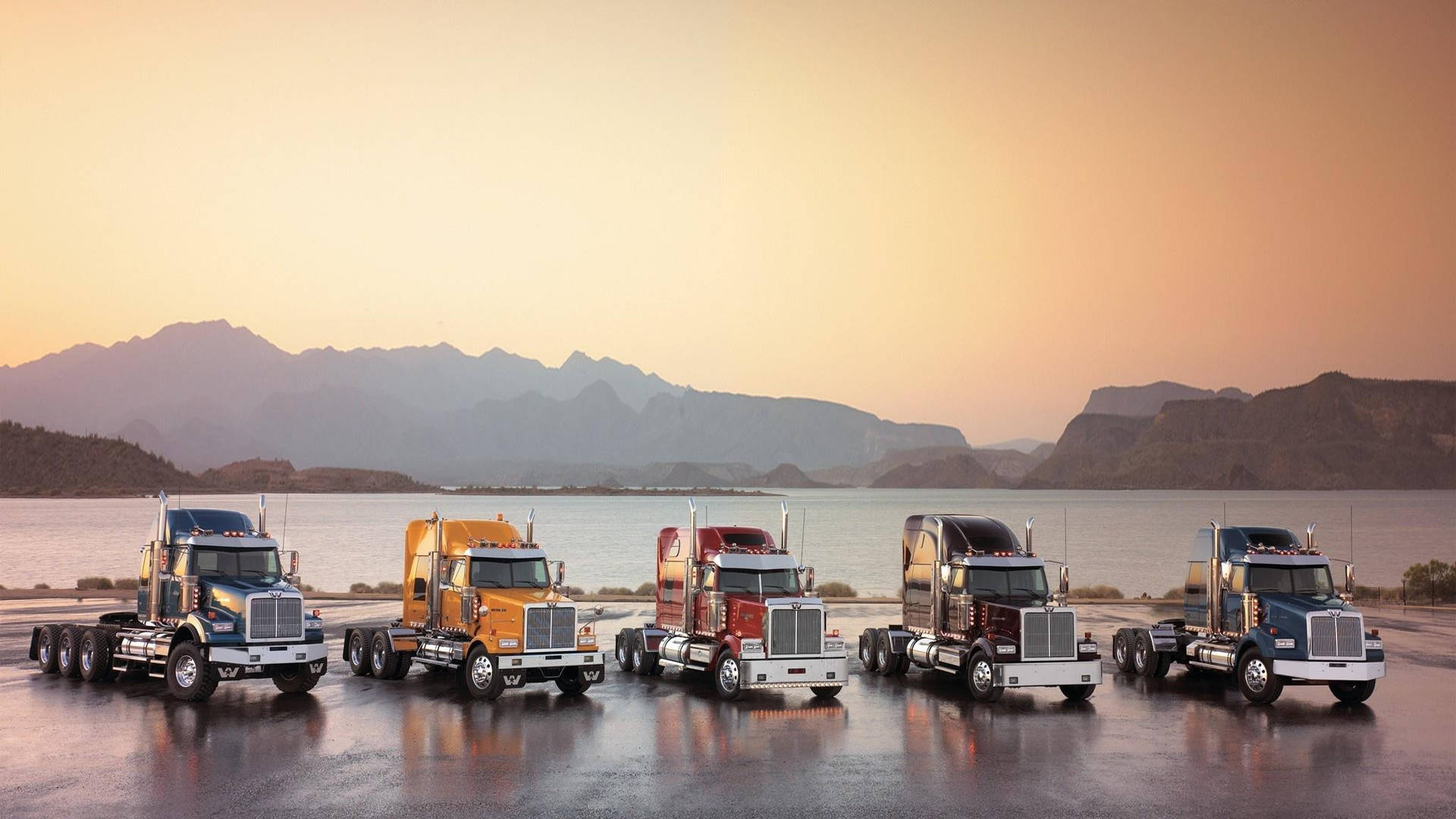 Cool Truck Types Lined Up Wallpaper