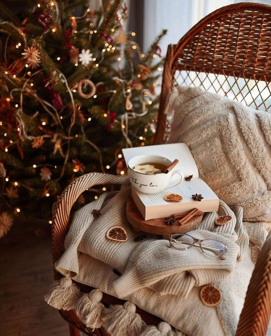 Cozy Christmas Aesthetic Book Wallpaper