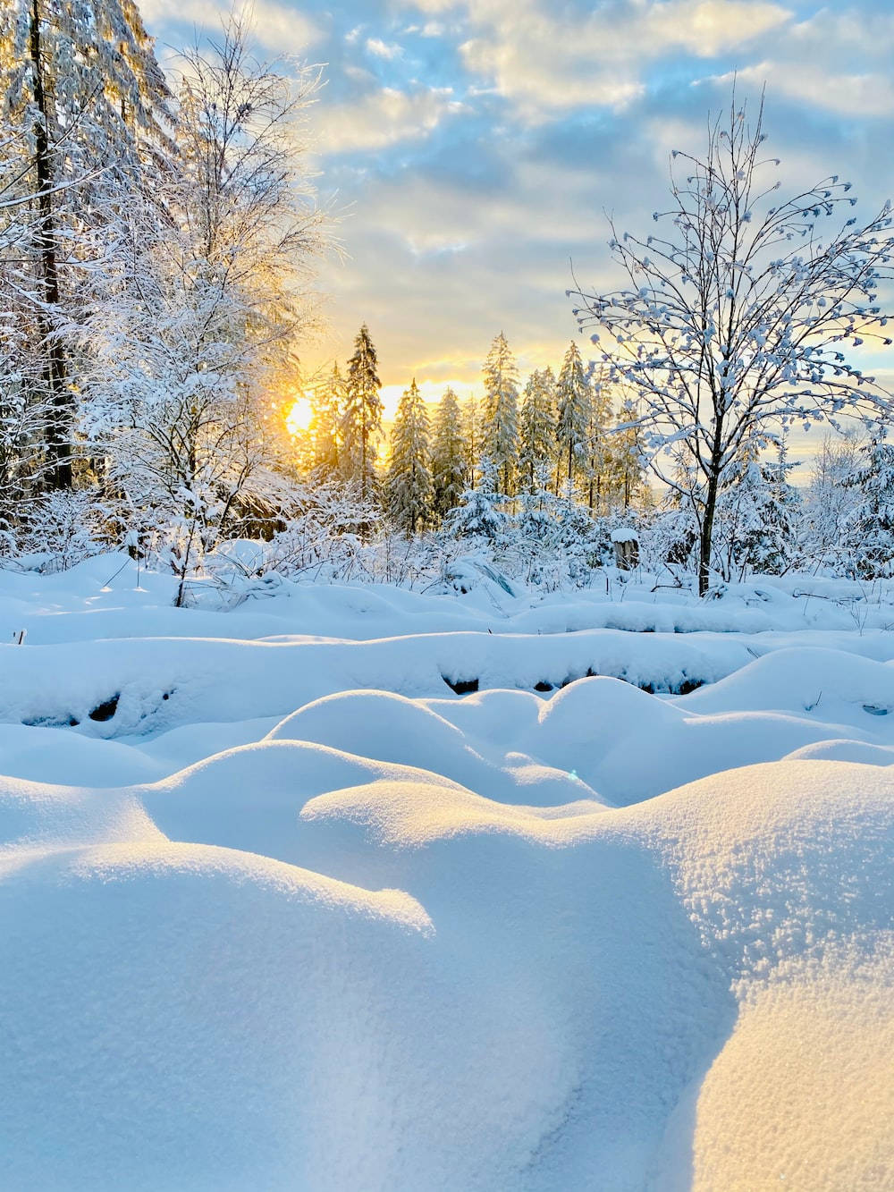 Cozy Sunrise Winter Scenery Wallpaper