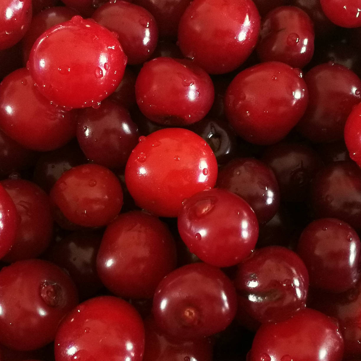 Cranberry Red Glossy Fruit Wallpaper