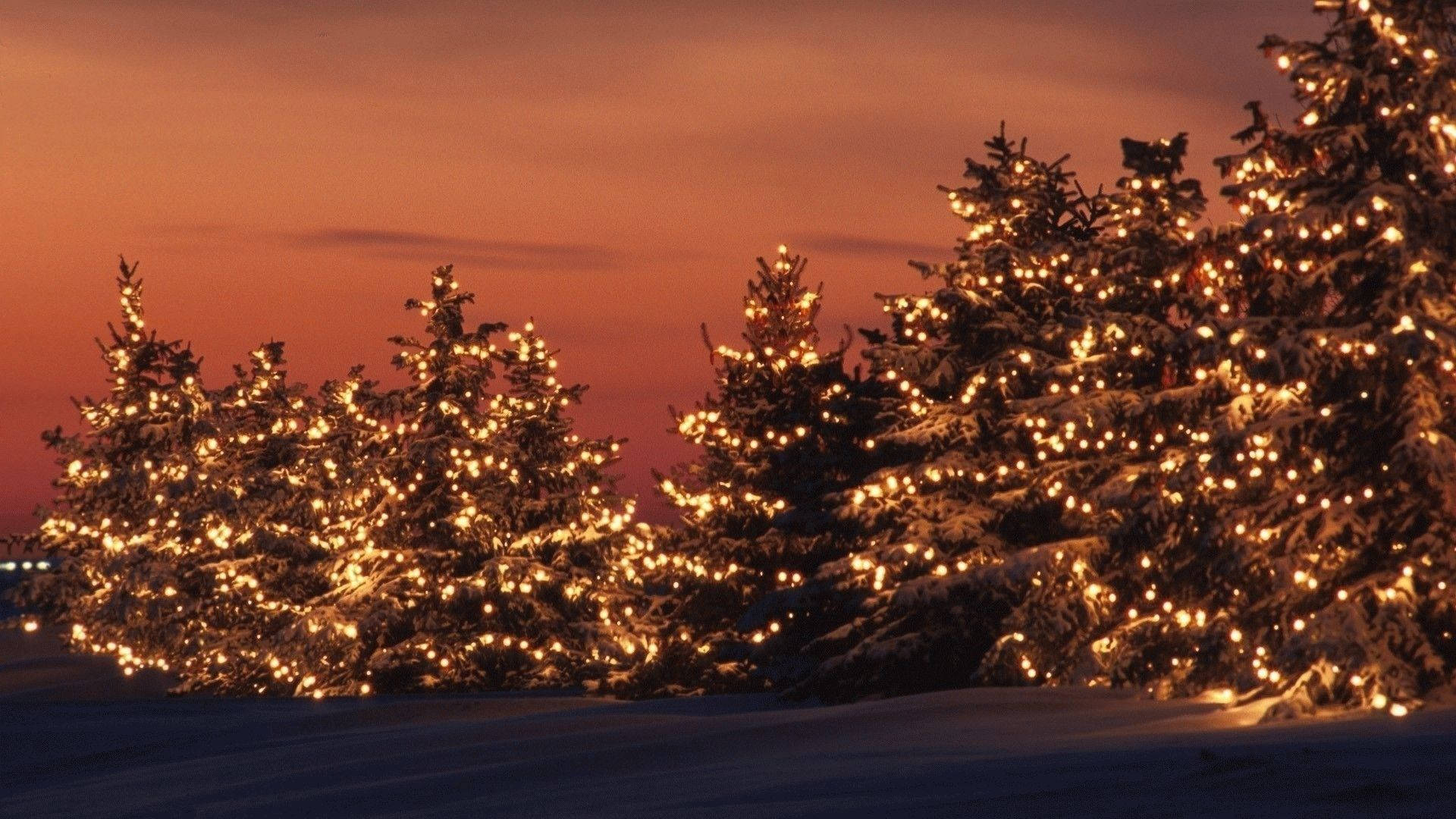 Cute Aesthetic Christmas Lights Sunset Wallpaper