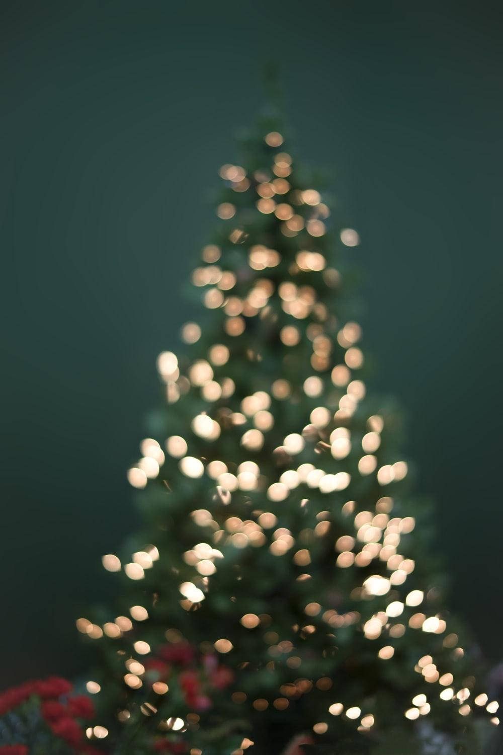 Cute Aesthetic Christmas Tree Wallpaper
