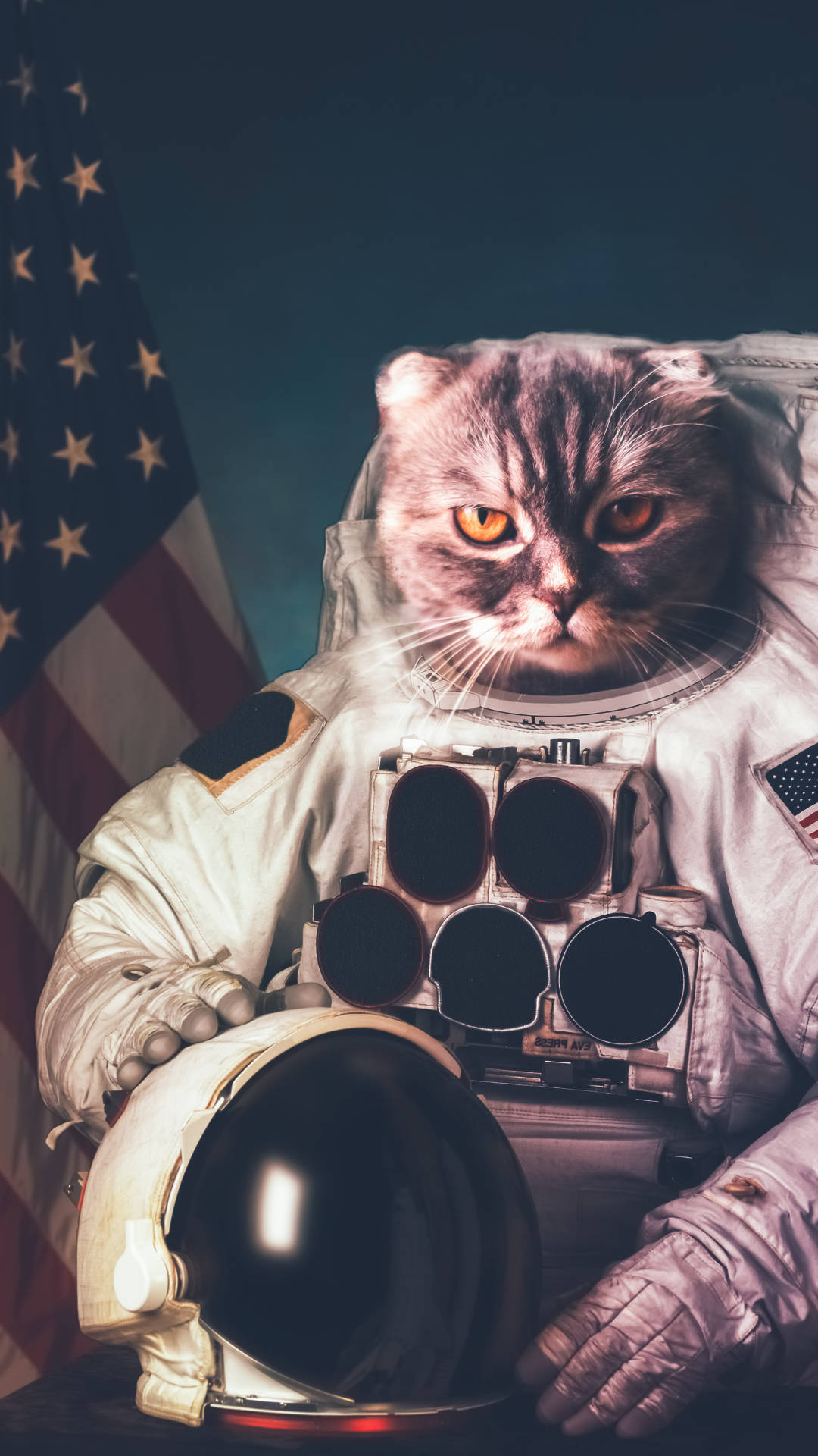 Cute Astronaut Cat Creative Photography Wallpaper