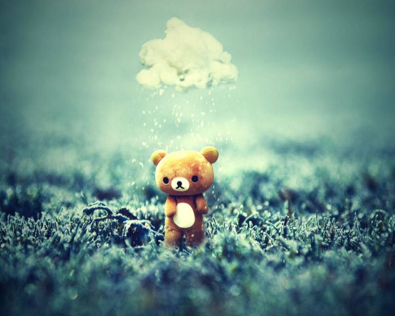 Cute Bear Tiny Wallpaper