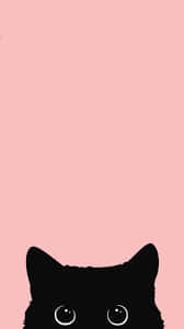 Cute Black Cat For Girls Wallpaper